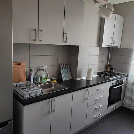 Cozy Apartament With Balcony 公寓 康斯坦察